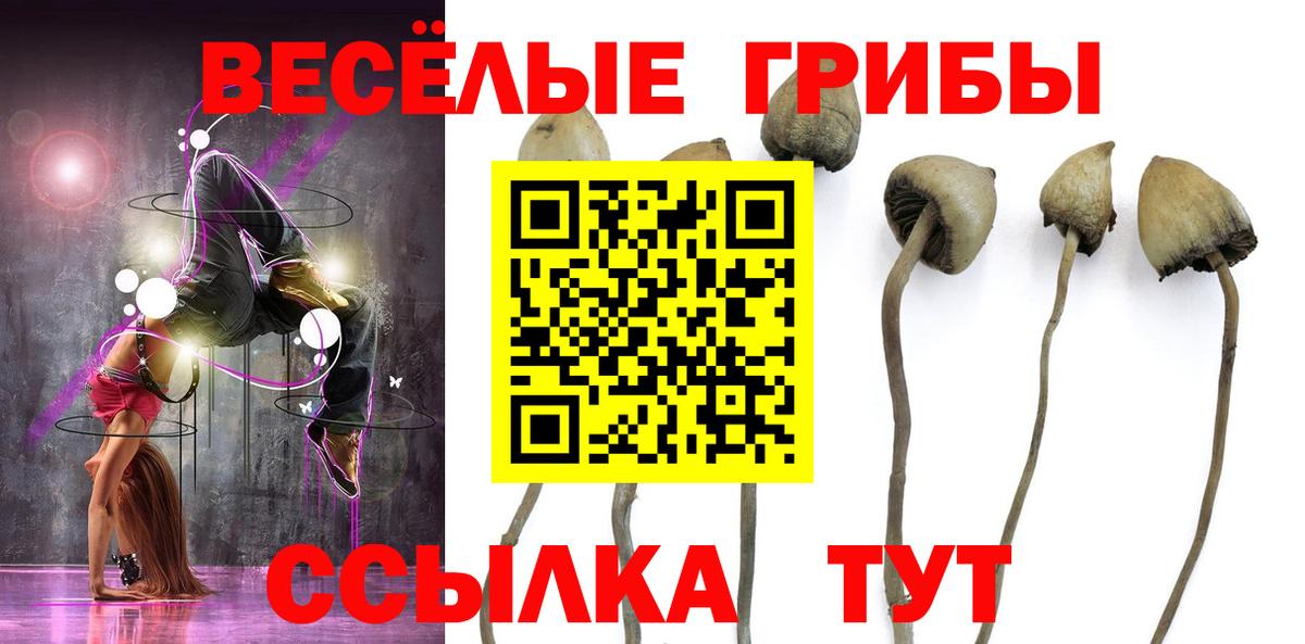 Воронеж  Галлюциногенные грибы мицелий  Вход с VPN 